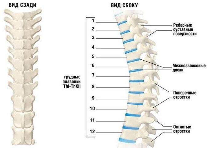 cervicale osteochondrose